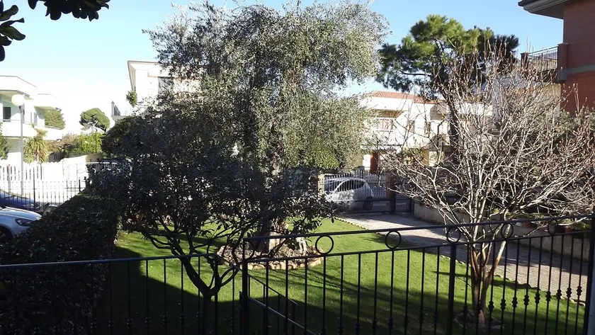 Appartamenti Mimosa - Image 1