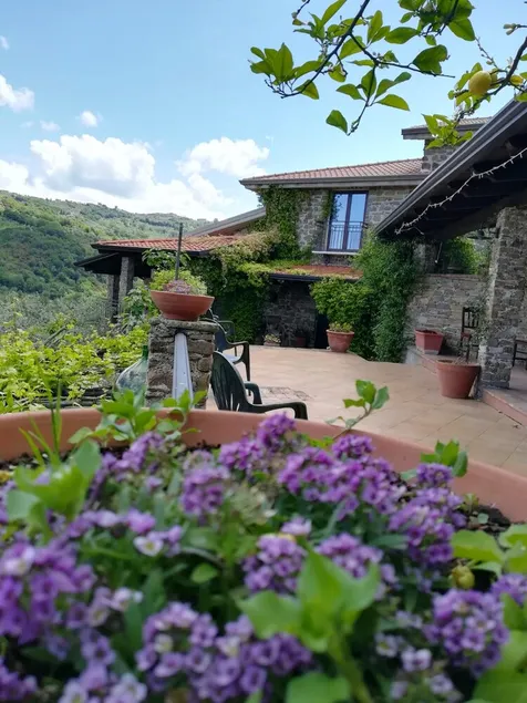 Studio in Ogliastro Cilento, With Wonderful sea View, Enclosed Garden and Wifi - 10 km From the Beach - Image 1