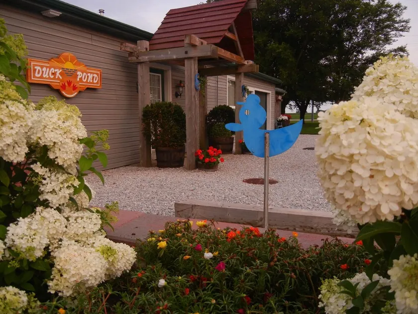 Duck Pond Bed & Breakfast Cottage - Image 1