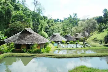 Tadplacamp Organic Farm Stay (ex The Natural Healing Spa Retreat) - Image 1