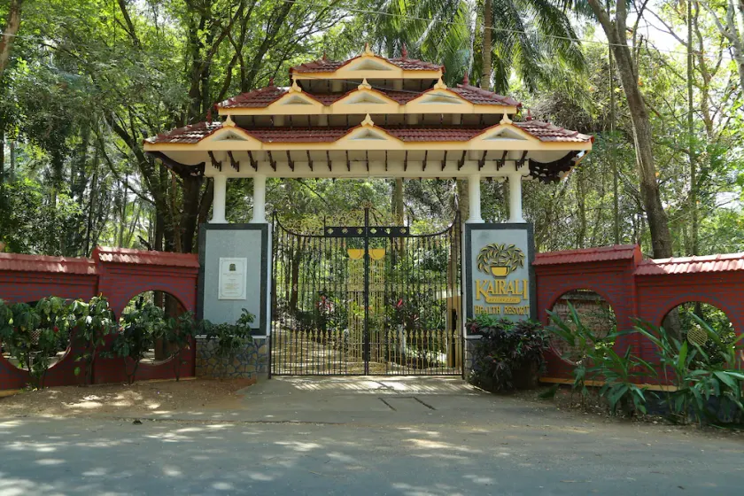 Kairali - The Ayurvedic Healing Village - Image 1