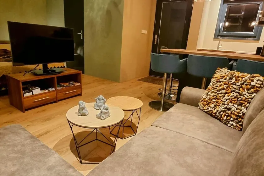 Nieuw Vrijstaand Appartement, Dichtbij Amsterdam - Image 1
