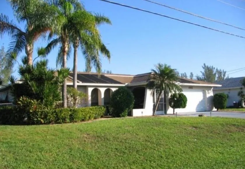 Palm Tree by 123cape Vacation Rentals - Image 1