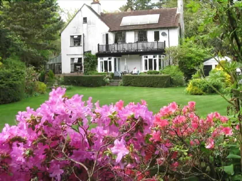 Tinkers Furze Bed and Breakfast - Image 1