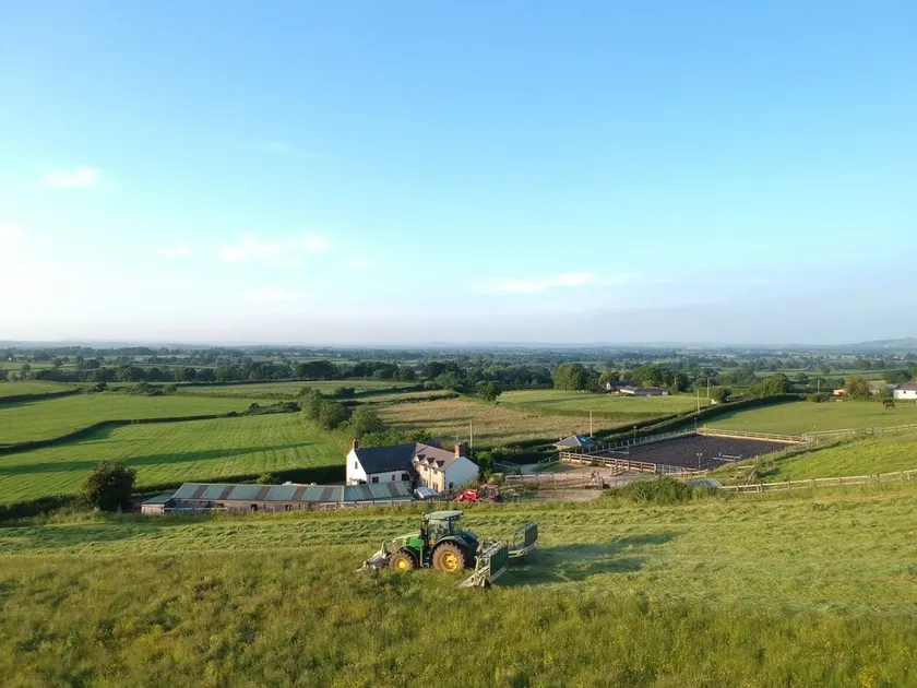 Characterful Cottage in the Heart of Dorset - Image 1