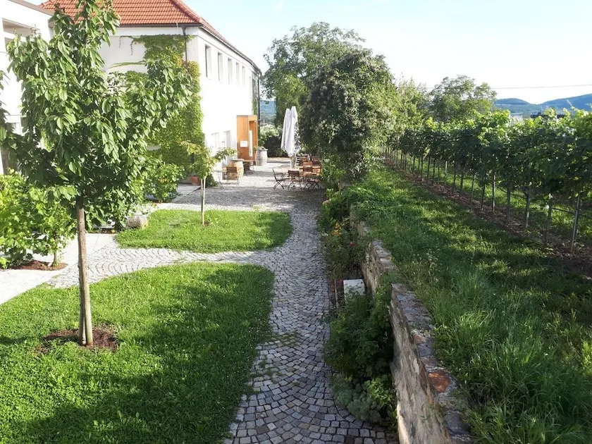 Wein-Gut Hutter - Image 1
