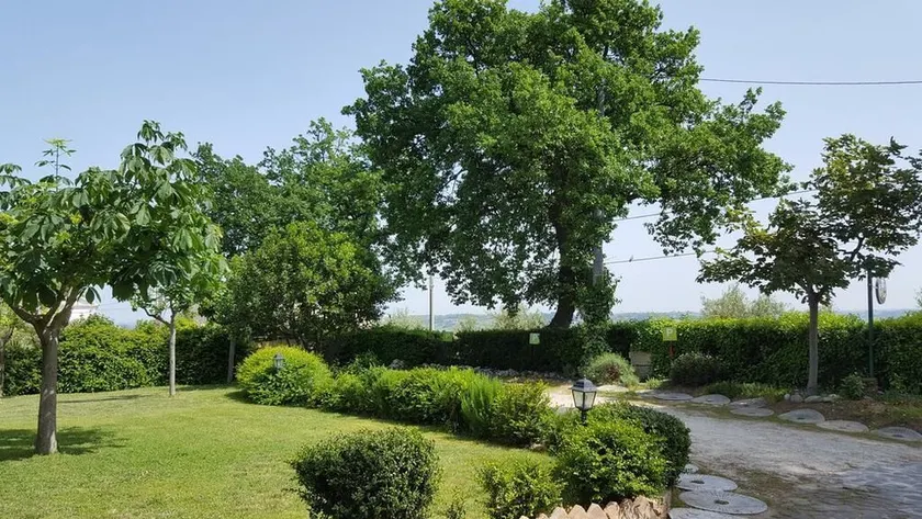 B&B Locanda Tre Pini - Image 1