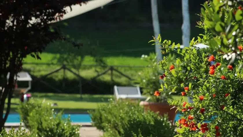 Agriturismo L'Ariete - Image 1