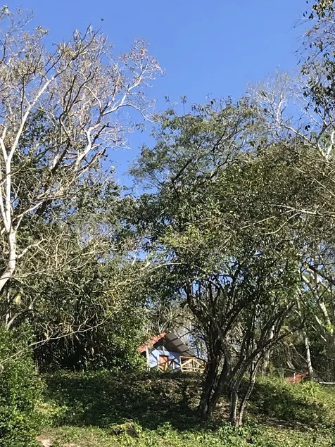 Mango Walk Inn - Image 1