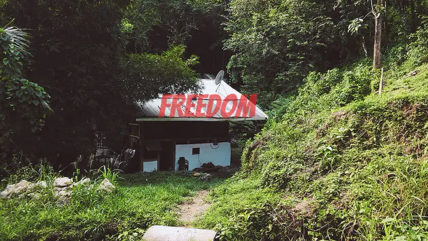 Freedom Jungle - Image 1