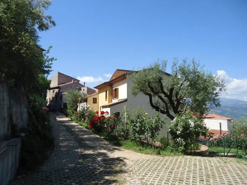 Dianum Int'l srl Villa Degli Ulivi - Image 1