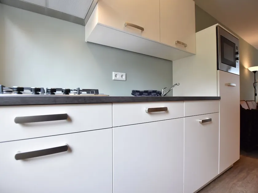Luxury Holiday Home in Hulshorst With Terrace - Image 1