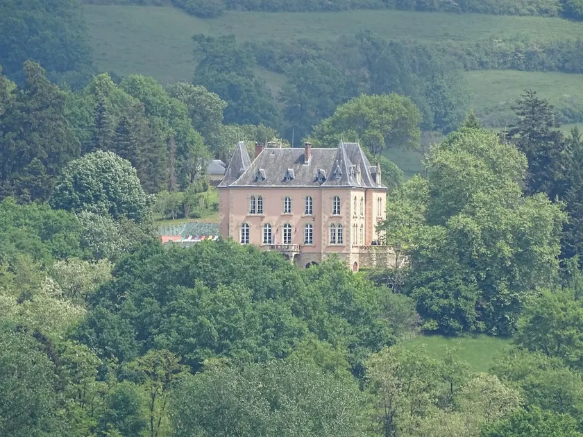 Château du Bois noir - Image 1