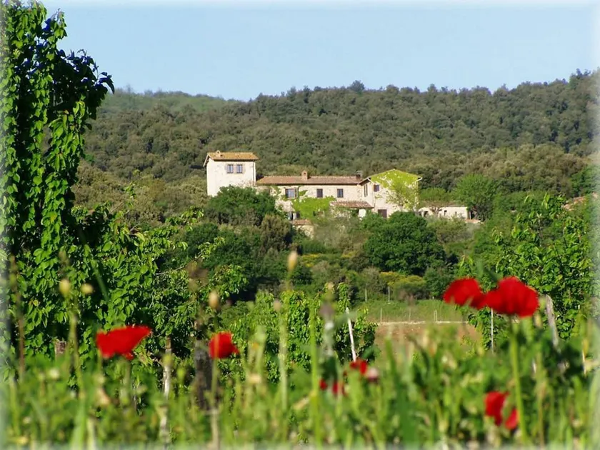 Agriturismo Torre Doganiera - Image 1