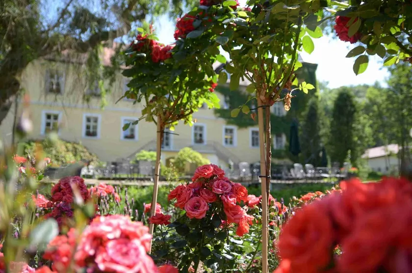 Ringhotel Schlosshotel Ernestgrün - Image 1