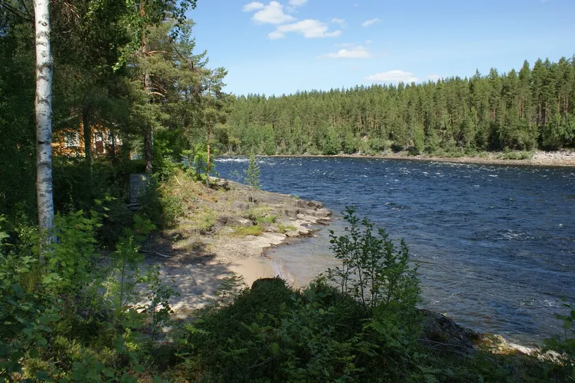 "summer or Winter a Magical Region of Nystrand has Many Hidden Secrets to Unlock" - Image 1