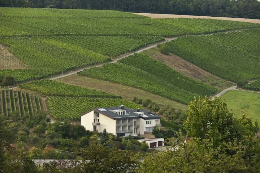 Benz - Das Weinhotel - Image 1