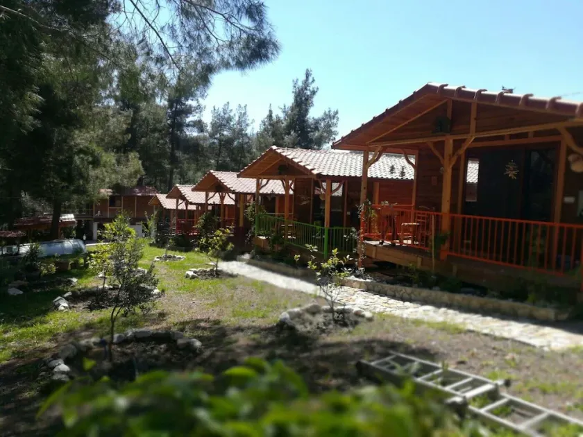 Olympos Tanrılar Kulubu - Image 1