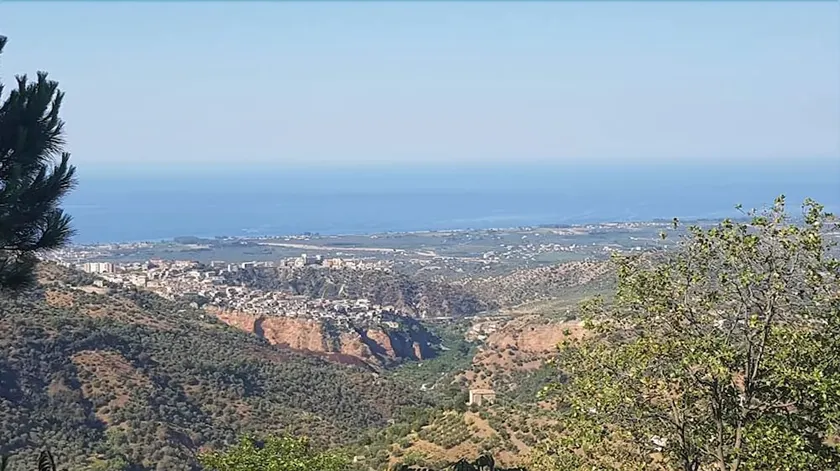 Villa Barone - Image 1
