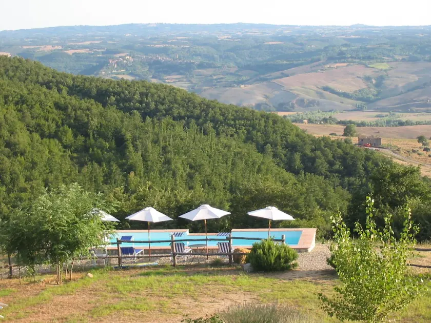L'Albero Bianco - Image 1