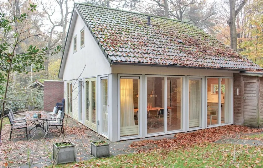 Bergeend - Image 1