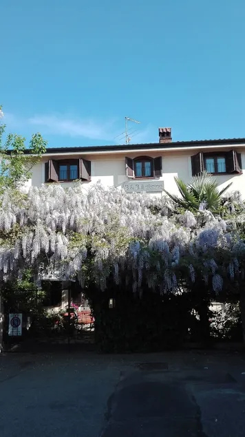 B&B Il Glicine - Image 1