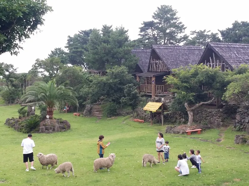Jeju Yangtte Farm - Image 1