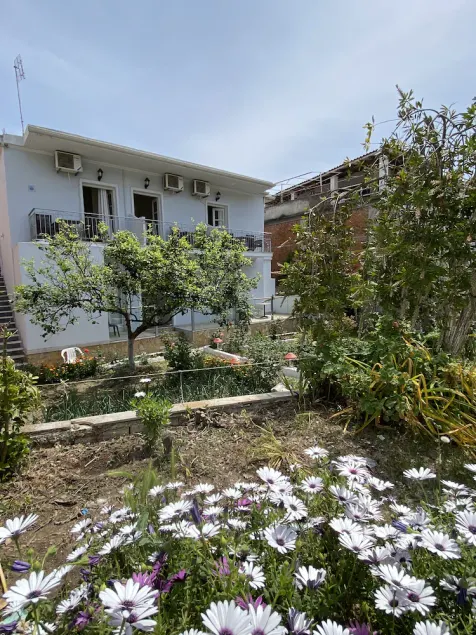 yiannis studios - Image 1