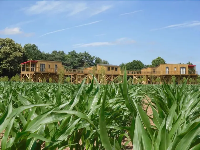 Domaine De Kervallon - Image 1