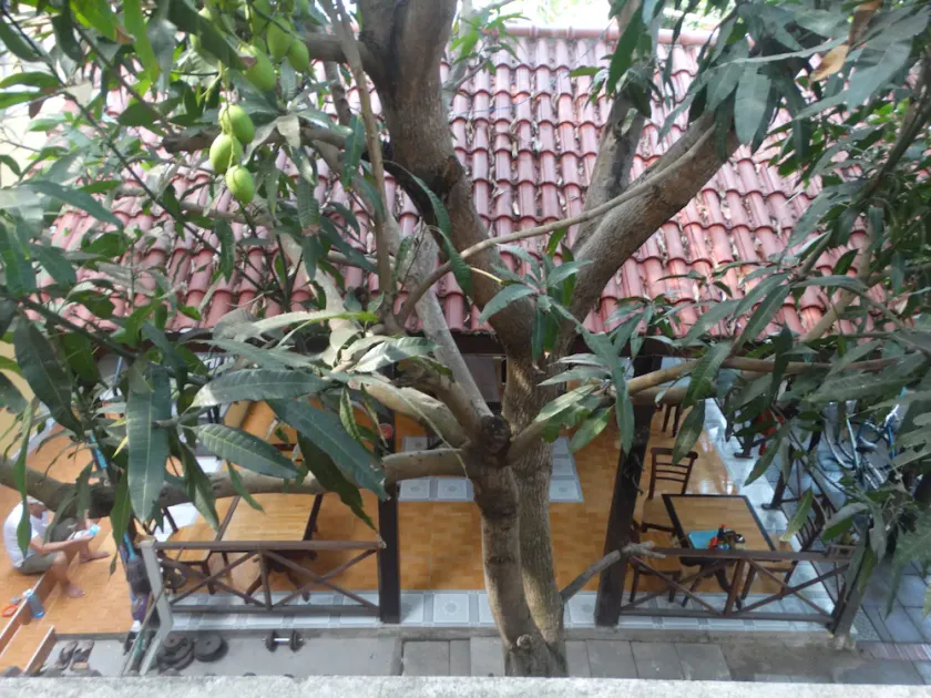 Yellow House Homestay - Image 1