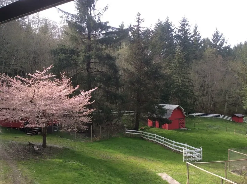 Momo's Farm - Image 1