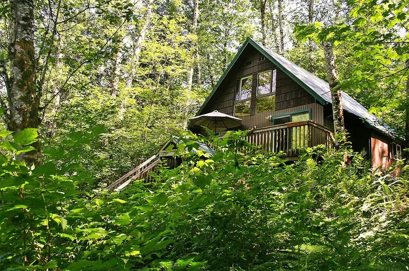 Huckleberry Hideout - One Bedroom Cabin with Hot Tub - Image 1