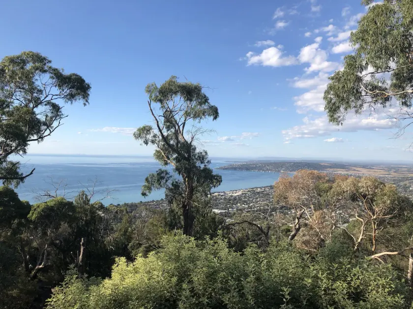 B & B Dream Views at Arthurs Seat - Image 1