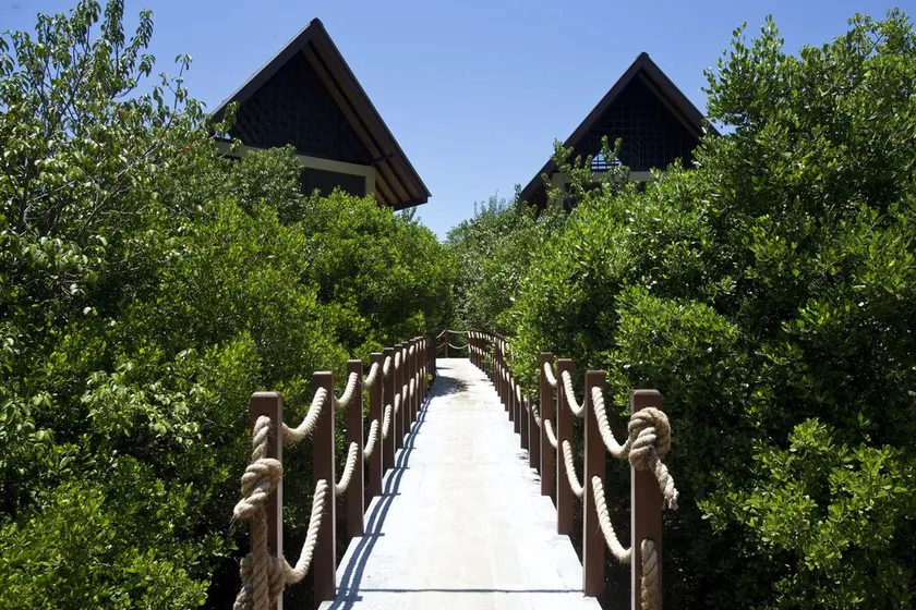 Ruwala Resort - Image 1
