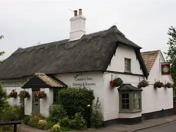 The Golden Ball Hotel - Image 1