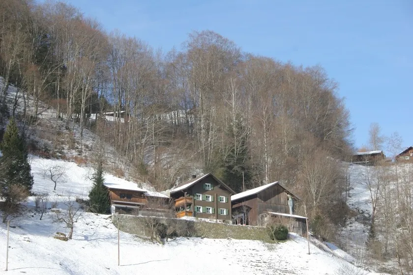 Schuchter - Image 1