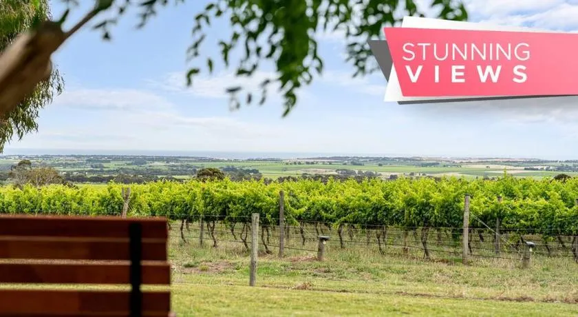 Willunga House - Fireplace Vineyard Views - Image 1