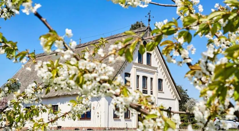 Cityappartement am Kirschberg - Image 1