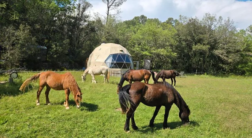 La Cabane aux Chevaux - Image 1