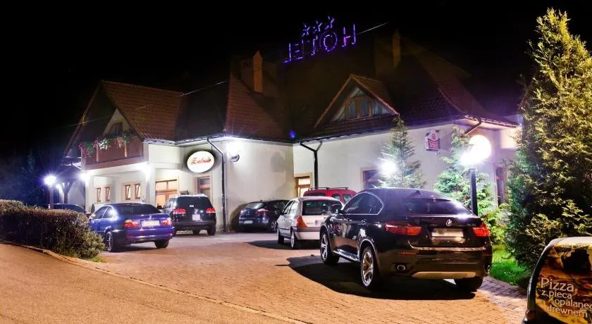 Hotel Zalesie - Image 1