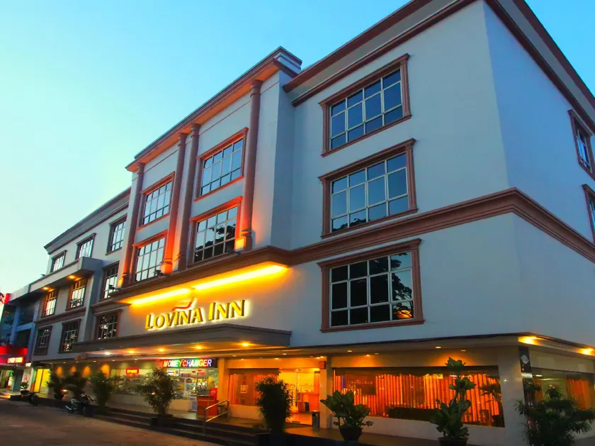Lovina Inn Penuin Hotel - Image 1