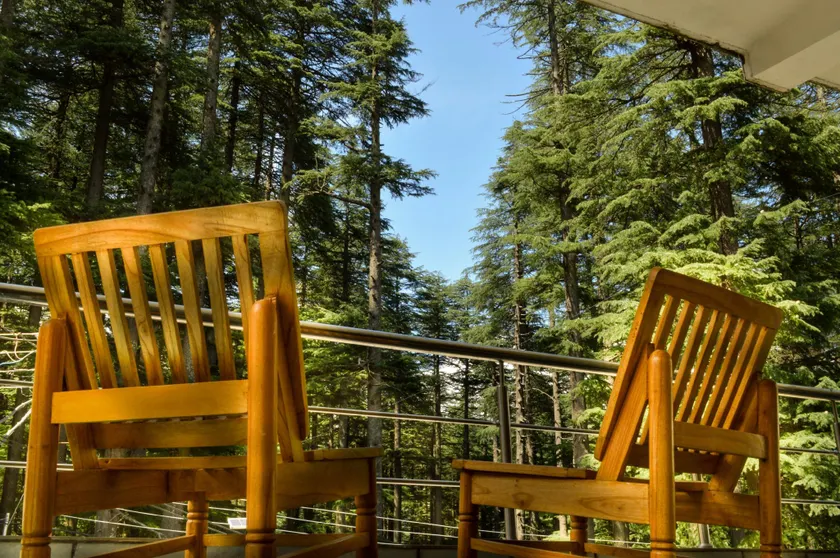 Forest View Retreat - Image 1