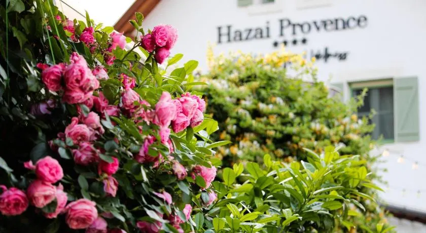 Hazai Provence - Image 1