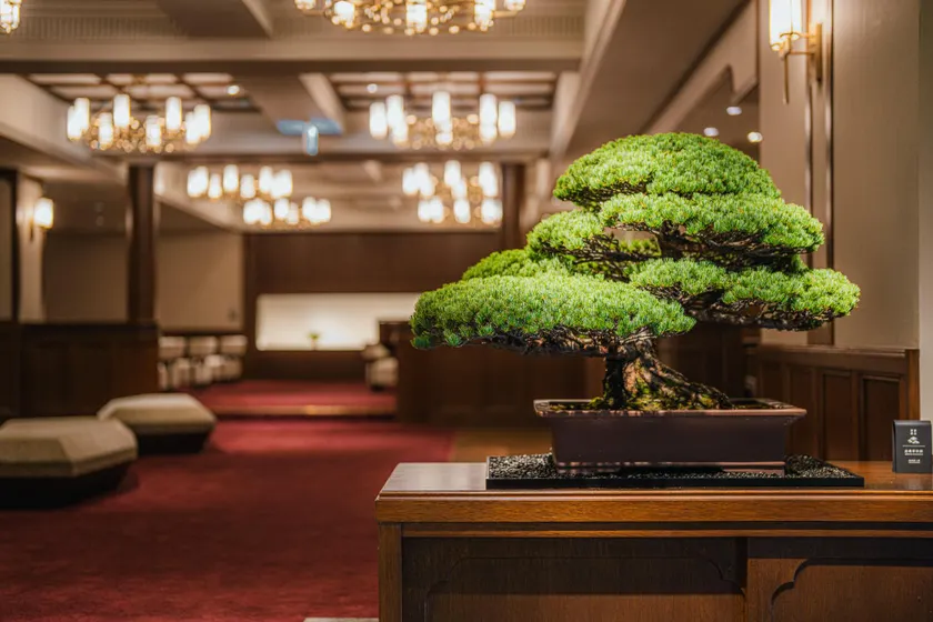 Shinzan Kinosaki - Image 1