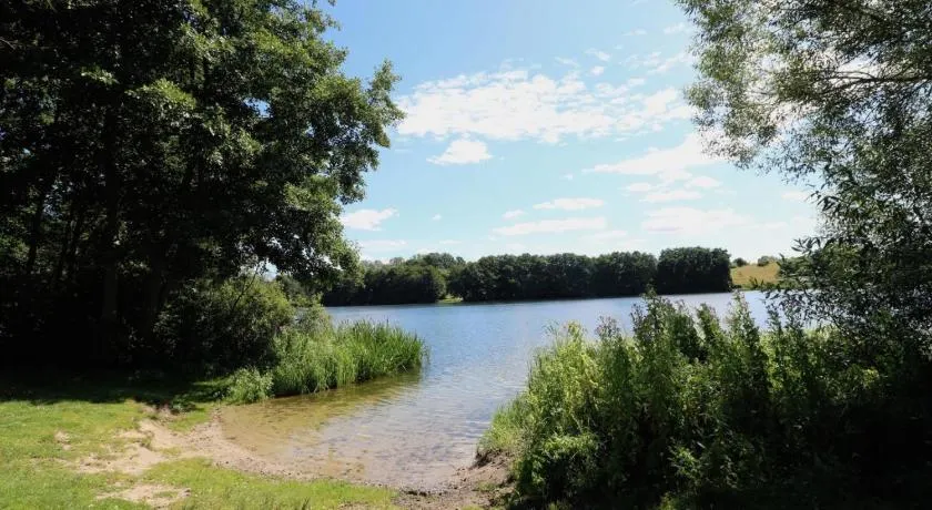 zentrumsnahes Wohnen in der Alten Schule am See - Image 1