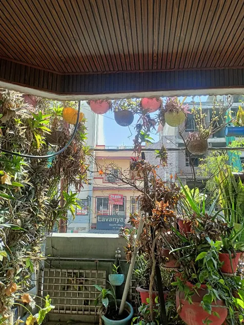 Bhopal Stay Nehru nagar - Image 1