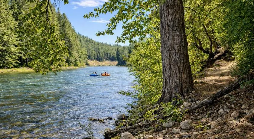 River Song Cabin home - Image 1