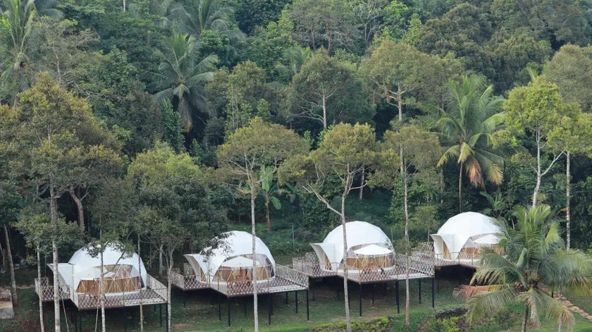 Dmangku Farm Mancak Serang - Image 1