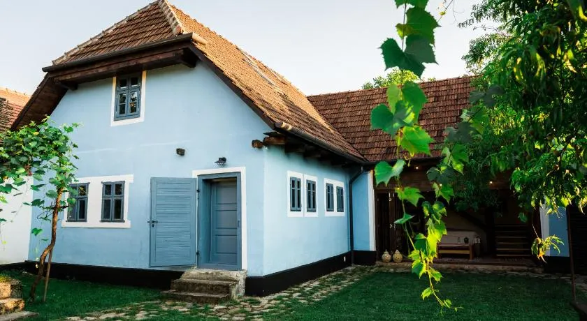 Casa Veche Leheceni in Apuseni - Image 1