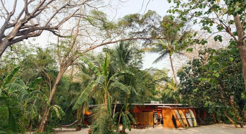 Zeneidas Surf Garden - Image 1